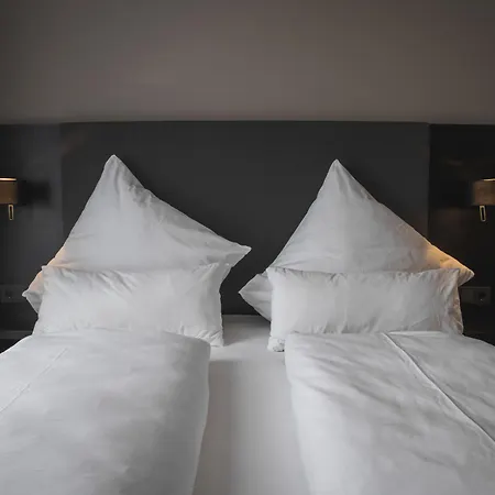 Hayta Stuttgart Airport Messe 3*